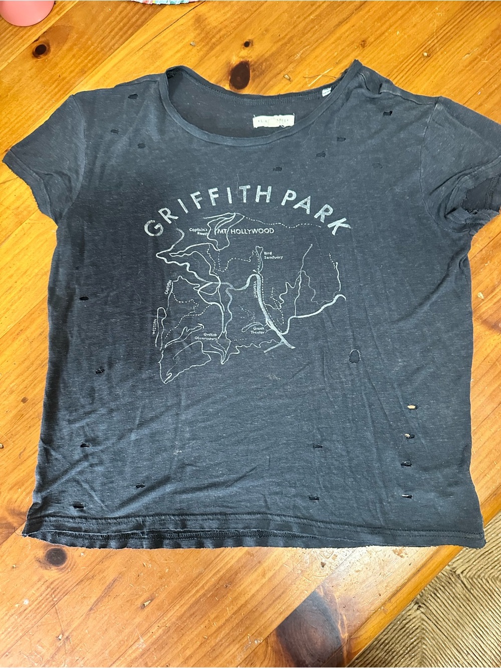 PacSun LA Hearts Griffith Park Graphic Tee